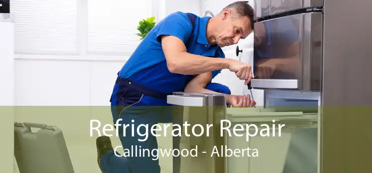 Refrigerator Repair Callingwood - Alberta