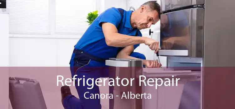 Refrigerator Repair Canora - Alberta