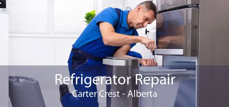 Refrigerator Repair Carter Crest - Alberta