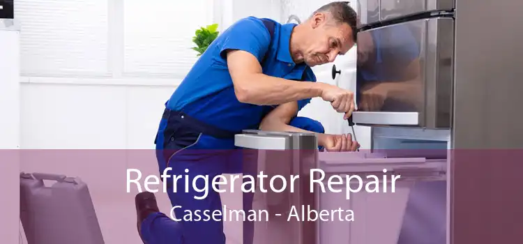 Refrigerator Repair Casselman - Alberta