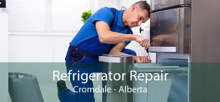 Refrigerator Repair Cromdale - Alberta