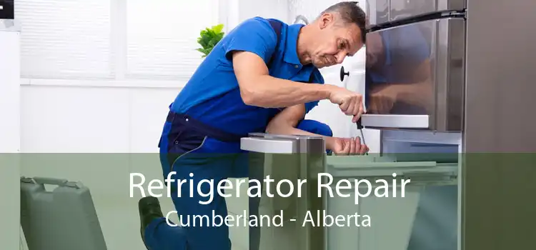 Refrigerator Repair Cumberland - Alberta