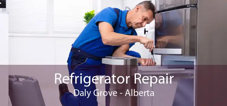 Refrigerator Repair Daly Grove - Alberta