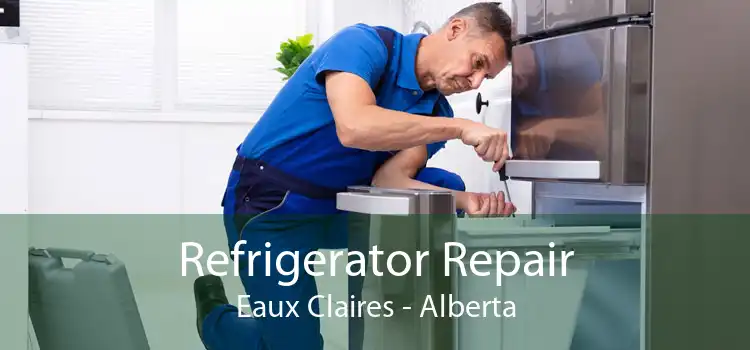 Refrigerator Repair Eaux Claires - Alberta