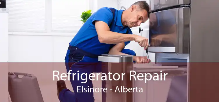 Refrigerator Repair Elsinore - Alberta