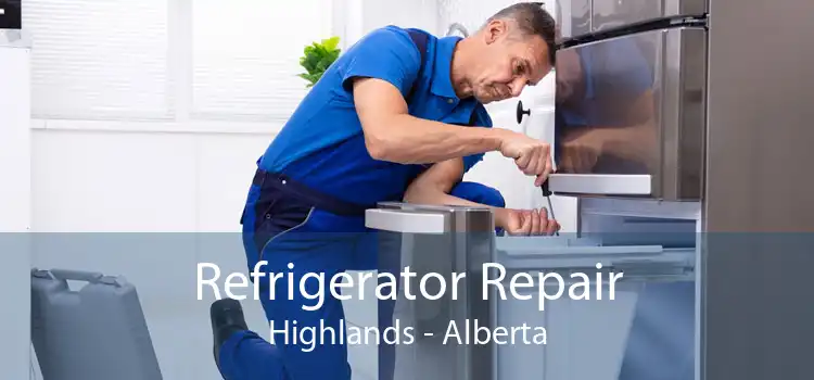 Refrigerator Repair Highlands - Alberta