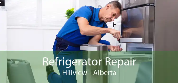 Refrigerator Repair Hillview - Alberta