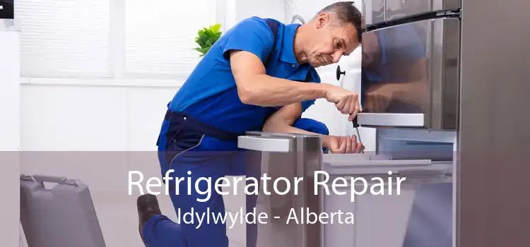 Refrigerator Repair Idylwylde - Alberta
