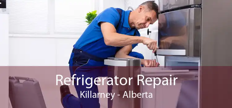 Refrigerator Repair Killarney - Alberta