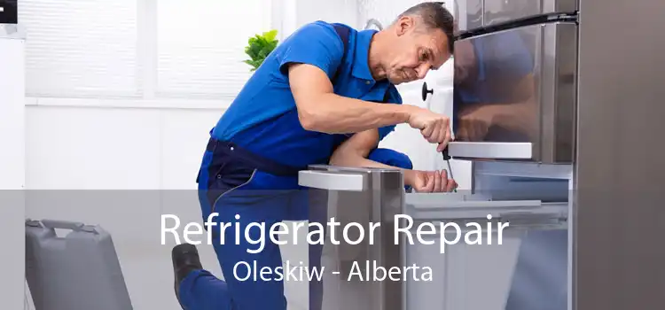 Refrigerator Repair Oleskiw - Alberta