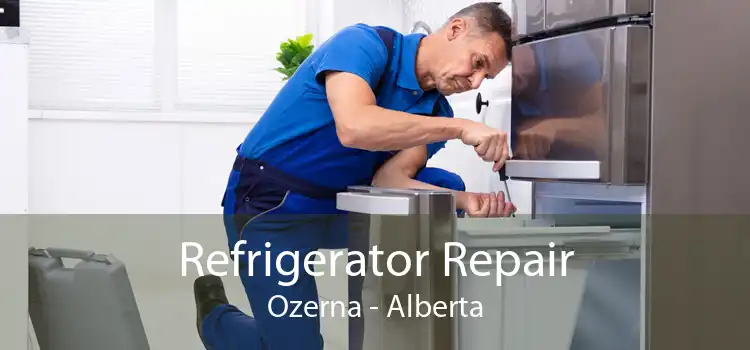 Refrigerator Repair Ozerna - Alberta