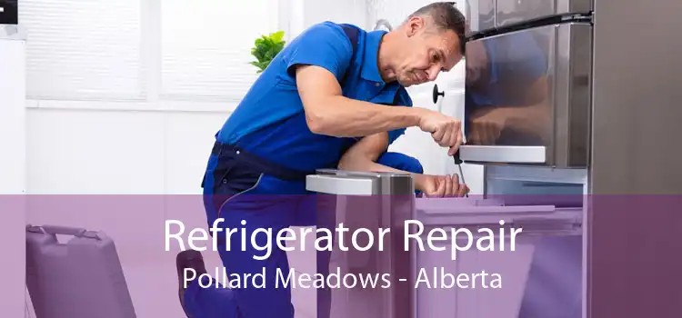 Refrigerator Repair Pollard Meadows - Alberta