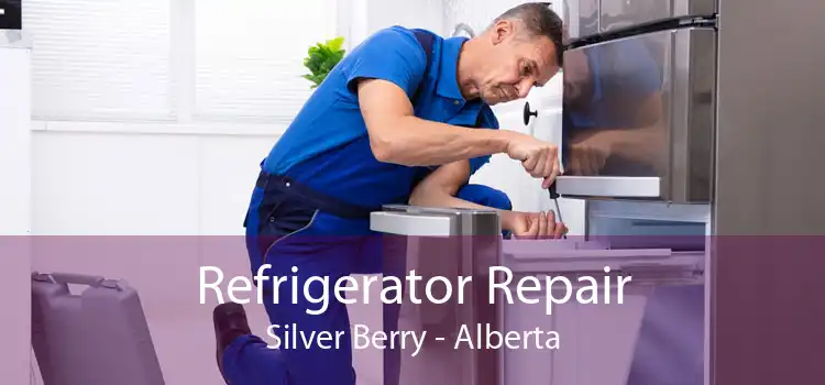 Refrigerator Repair Silver Berry - Alberta