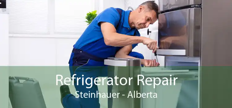 Refrigerator Repair Steinhauer - Alberta