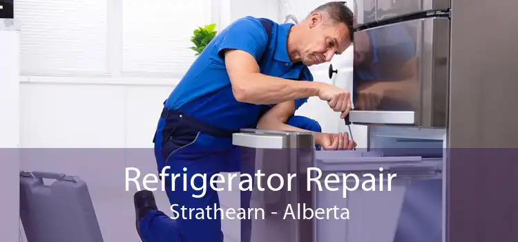 Refrigerator Repair Strathearn - Alberta