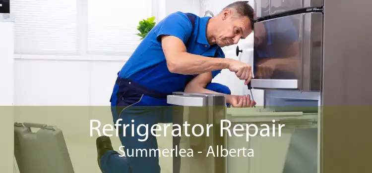 Refrigerator Repair Summerlea - Alberta