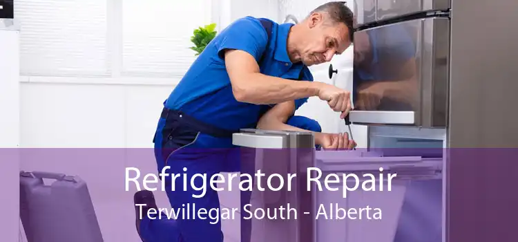 Refrigerator Repair Terwillegar South - Alberta