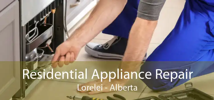 Residential Appliance Repair Lorelei - Alberta