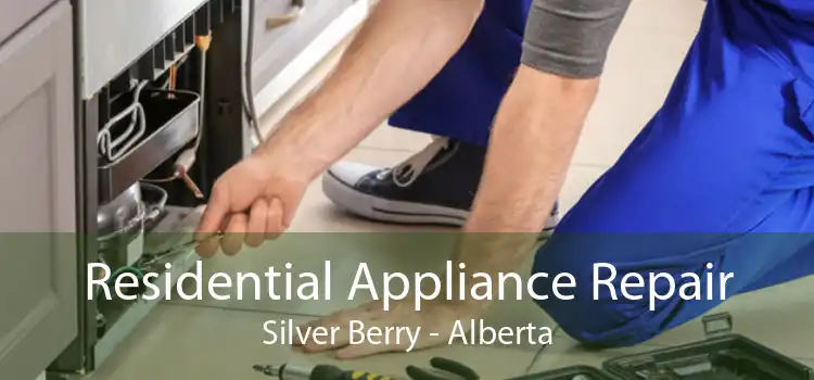 Residential Appliance Repair Silver Berry - Alberta