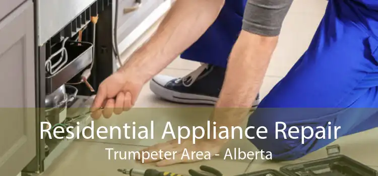 Residential Appliance Repair Trumpeter Area - Alberta