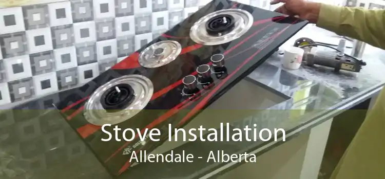 Stove Installation Allendale - Alberta