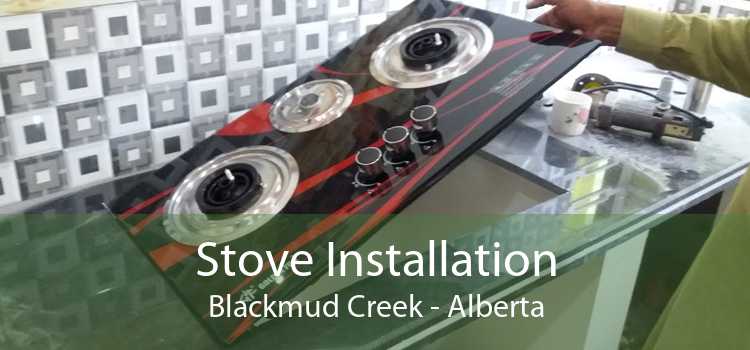 Stove Installation Blackmud Creek - Alberta