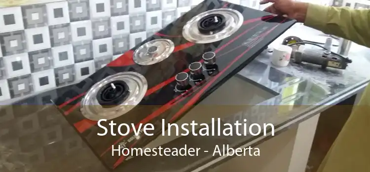 Stove Installation Homesteader - Alberta