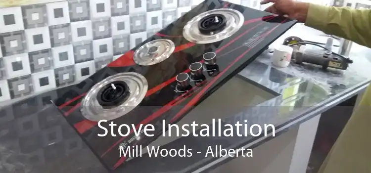 Stove Installation Mill Woods - Alberta