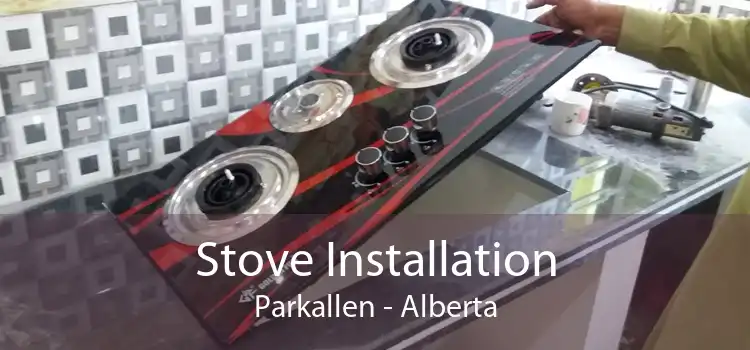 Stove Installation Parkallen - Alberta