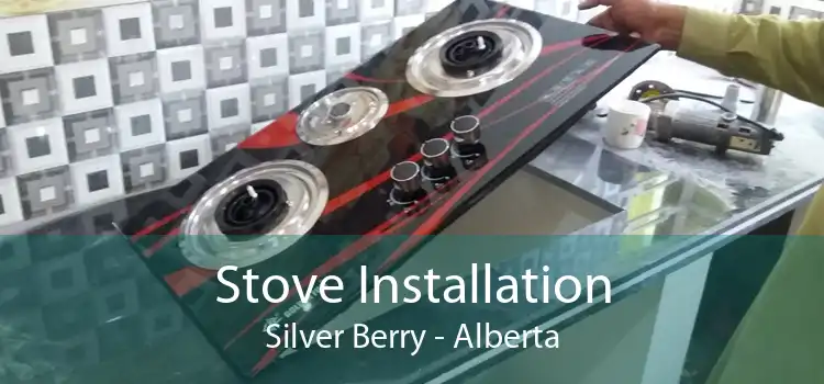 Stove Installation Silver Berry - Alberta