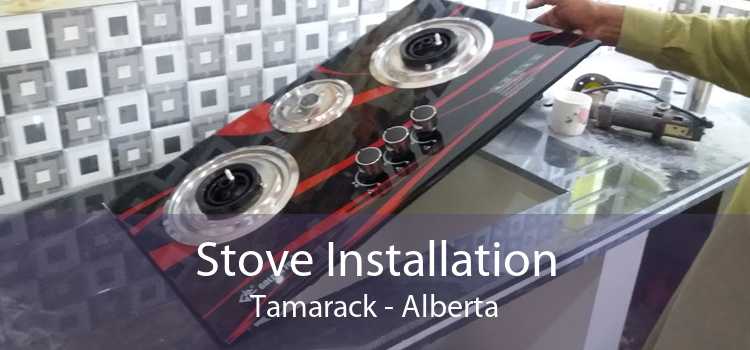 Stove Installation Tamarack - Alberta