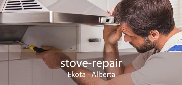 stove-repair Ekota - Alberta
