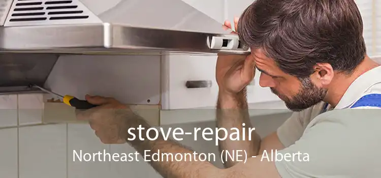 stove-repair Northeast Edmonton (NE) - Alberta