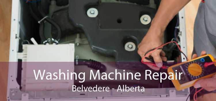 Washing Machine Repair Belvedere - Alberta