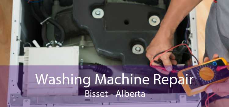 Washing Machine Repair Bisset - Alberta