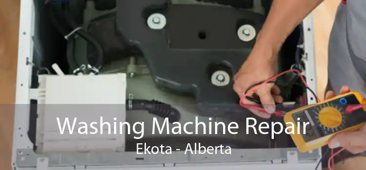 Washing Machine Repair Ekota - Alberta