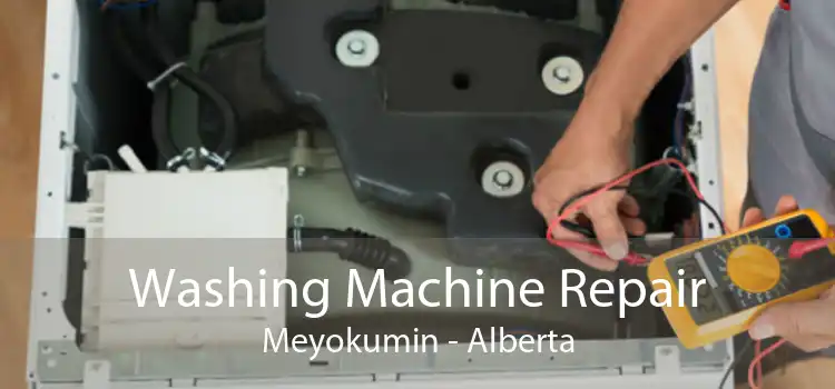 Washing Machine Repair Meyokumin - Alberta