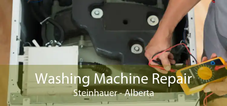 Washing Machine Repair Steinhauer - Alberta