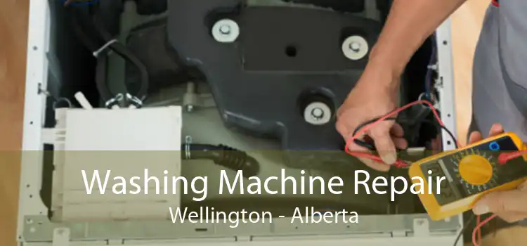 Washing Machine Repair Wellington - Alberta